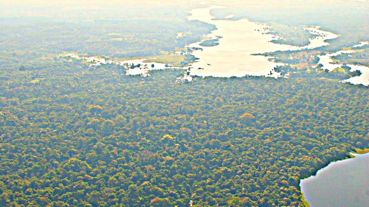 Vista aérea da floresta amazônica e áreas úmidas cobertas por fumaça de queimadas no Brasil