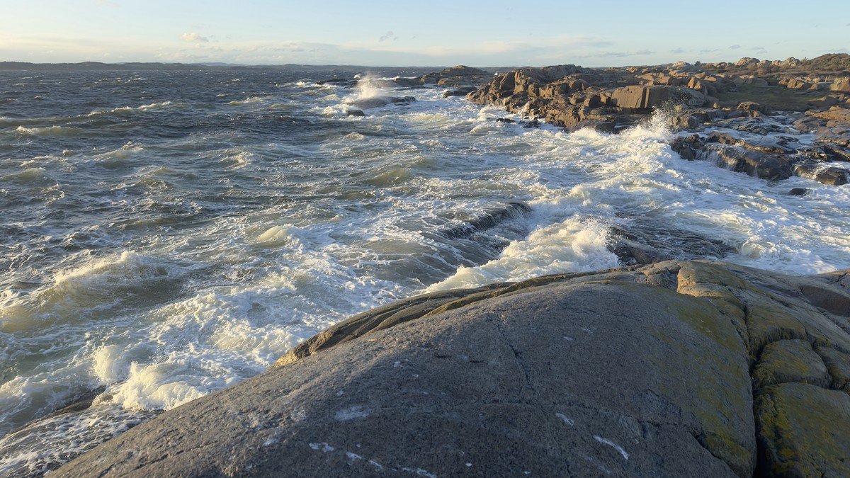 Coastal sand dunes and seawater shoreline vulnerable to salinization