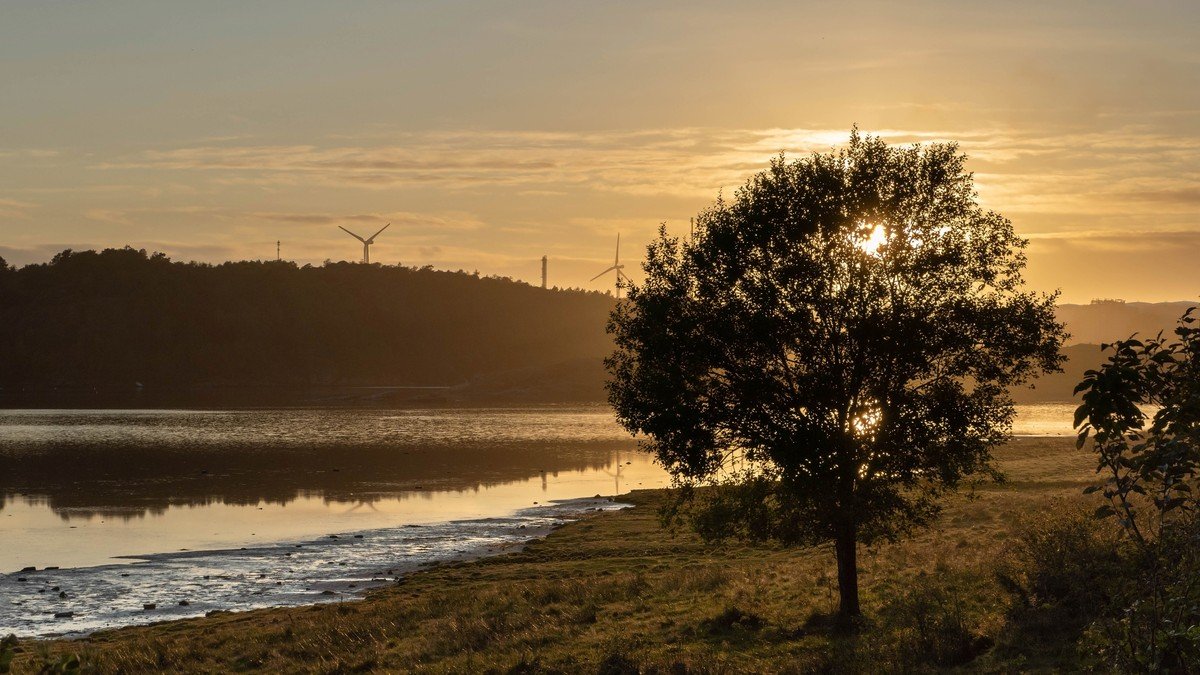 Industrial coastal energy facility operating carbon capture technology in northern England